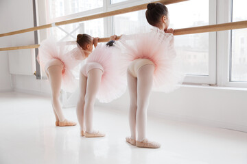 Little girls, pre-school dancers in tutus practice at ballet barre, view from behind. Classical ballet school. Concept of art, sport, education, hobby, active lifestyle, leisure time.