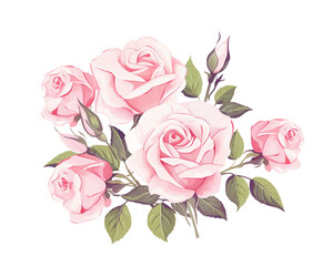 Roses flowers remove background , flowers, watercolor, isolated white background - obrazy, fototapety, plakaty