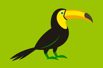 toucan bird on a branch