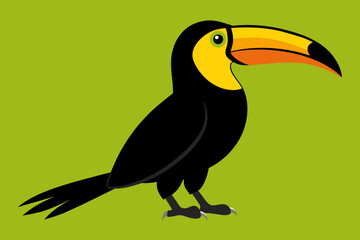 toucan on a branch