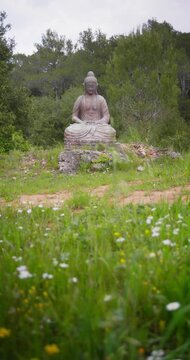 Buddah statue in a park