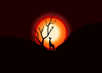 Birds sit on tree in the forest at sunset,A camel is looking for food