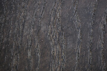 Brown natural wood inlay texture extreme close-up on a car door panel