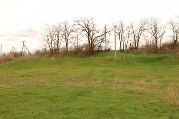 A grassy field with trees in the background