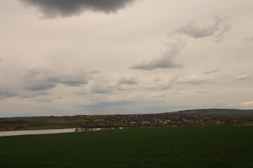 Fototapeta na wymiar A field with grass and a cloudy sky