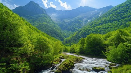 A scenic landscape showing vibrant green mountains with a sparkling river flowing in the valley, surrounded by dense forests.