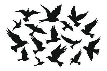 Flying Different Type of Birds silhouette with wings on white background