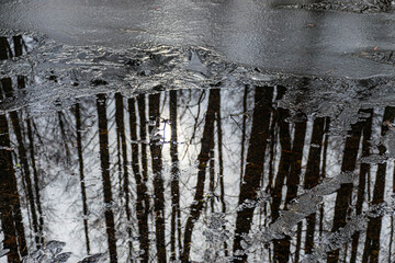 reflection of trees and other natural materials in water