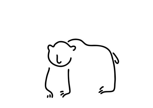 baer alaska braunbaer schwarzbaer