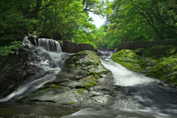 熊本県　五月の菊池渓谷の四十万滝