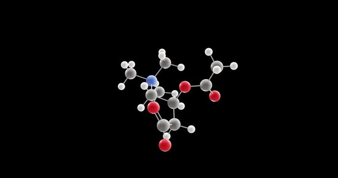 Acetylcarnitine molecule, rotating 3D model of acetyl-l-carnitine, looped video on a black background