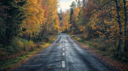 Fototapeta na wymiar Autumn road in the forest. Autumn landscape with trees and road