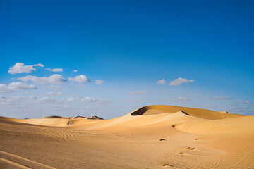 Fototapeta na wymiar Sunlit Desert 