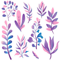 A purple plants set with pink leaves on a white background. Vector illustration EPS10
