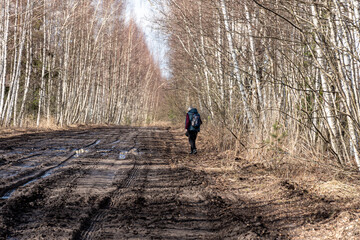 spring landscape with muddy swamp, forest road, spring, lonely traveler on a dirty wet road