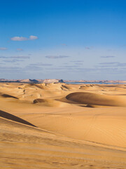 Fototapeta na wymiar Egyptian Desert