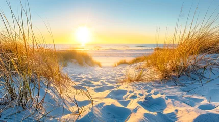 Foto op Plexiglas Sonnenaufgang über der Nordsee, Ostsee. Landschaft mit Dünnen und Gräser. © shokokoart