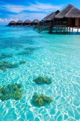 Photo sur Plexiglas Bora Bora, Polynésie française The beautiful and serene beaches of the Maldives, with crystal-clear waters, white sands, 