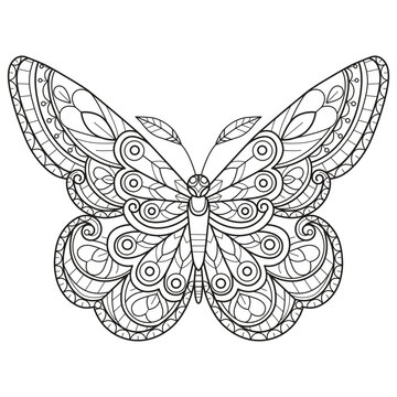 Butterfly pattern hand drawn for adult coloring book