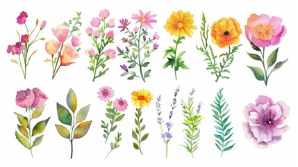 A set of watercolor flowers painted on white paper. Sketches of flowers and herbs. Wreath, garland of flowers. Modern watercolor.