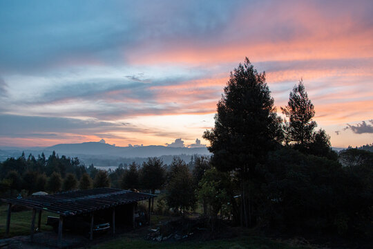 Sunset over the field