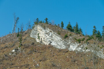 Mountain spring landscape. Mountain slope with sparse vegetation.