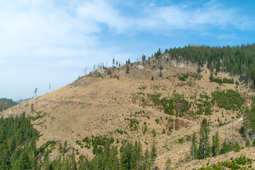 Mountain spring landscape. Mountain slope with sparse vegetation.