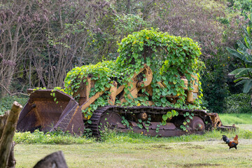 Lush vegetation on the island of Mo'orea, French Polynesia, takes over an abandoned heavy loader.