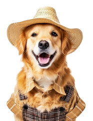 Funny dog - farmer in a summer hat and overalls isolated on background.