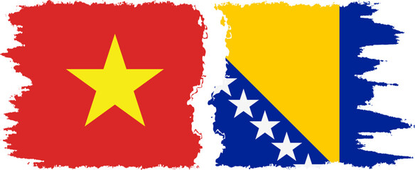 Bosnia and Herzegovina and Vietnam grunge flags connection vector