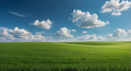 Fototapeta premium green field and blue sky with clouds