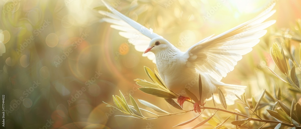 Poster Clipart image of a white dove holding an olive branch on a beautiful light. Freedom concept and international day of peace.