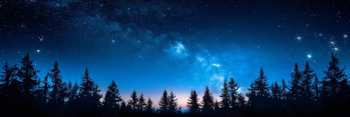 Naklejka premium A clear night sky with stars and the silhouette of trees,beautiful night forest, A dark blue sky with stars above the silhouette of trees at night ,banner