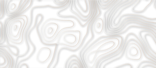 Abstract topographic contours 3d map background .topographic line texture background .monochrome image .stylized height of the topographic map contour in lines.	 - obrazy, fototapety, plakaty