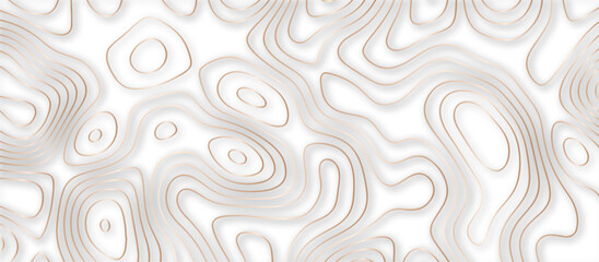 Abstract topographic contours 3d map background .topographic line texture background .monochrome image .stylized height of the topographic map contour in lines.	