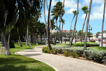 Queen Wilhelmina Park in Oranjestad, Aruba, Karibik, Weg, Palme, Palmen