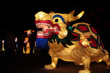 Various shaped lanterns for Chinese New Year decorations