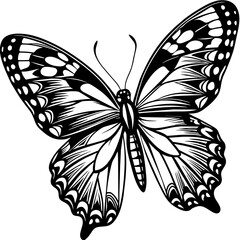 black and white butterfly,butterfly Silhouette Graphics Vector Illustration,head of a element black butterfly Svg t shirts Design, Laser Cut File Cricut,monarch butterfly contours on white background