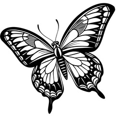 black and white butterfly,butterfly Silhouette Graphics Vector Illustration,head of a element black butterfly Svg t shirts Design, Laser Cut File Cricut,monarch butterfly contours on white background