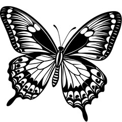 black and white butterfly,butterfly Silhouette Graphics Vector Illustration,head of a element black butterfly Svg t shirts Design, Laser Cut File Cricut,monarch butterfly contours on white background