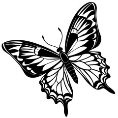 black and white butterfly,butterfly Silhouette Graphics Vector Illustration,head of a element black butterfly Svg t shirts Design, Laser Cut File Cricut,monarch butterfly contours on white background