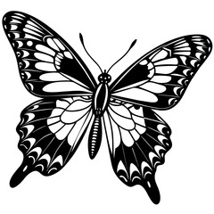 black and white butterfly,butterfly Silhouette Graphics Vector Illustration,head of a element black butterfly Svg t shirts Design, Laser Cut File Cricut,monarch butterfly contours on white background
