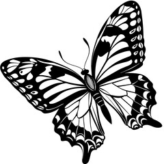 black and white butterfly,butterfly Silhouette Graphics Vector Illustration,head of a element black butterfly Svg t shirts Design, Laser Cut File Cricut,monarch butterfly contours on white background
