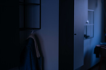 home lifestyle mirror