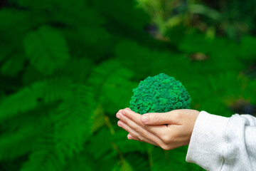 hand holding green grass ball, a healthy ecology to a new generation. Healthy ecology of the planet...