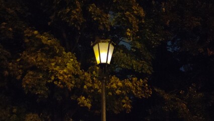 Flickering lantern in a city park at night against a background of dark sky and foliage