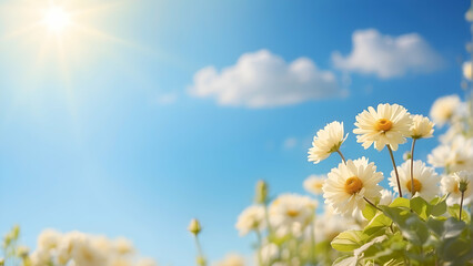 Bright sunlight illuminates a vibrant field of daisy flowers set against a contrasting blue sky with fluffy white clouds