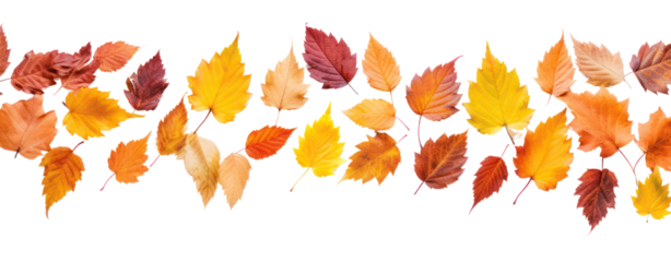 fall leafs in autumn transparent background