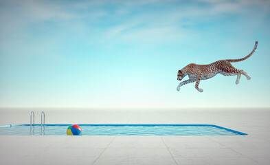 Cheetah jumping into o pool.