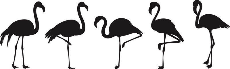 flamingo silhouette on white background vector